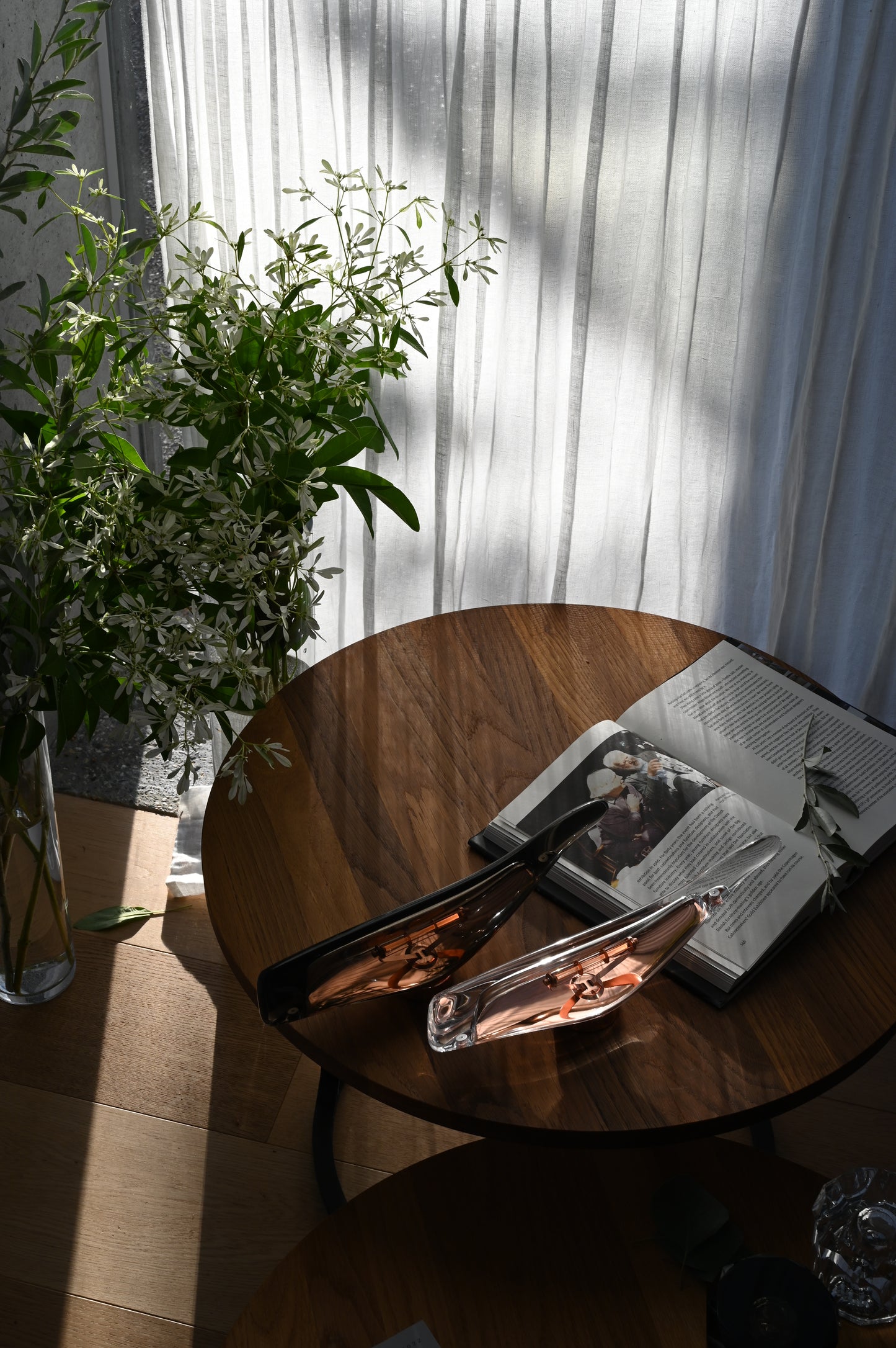 Ambientec Cachalot Clear アンビエンテック カシャロ クリア