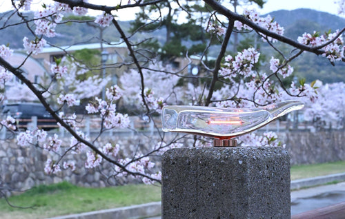 桜とともに灯る美しさ。アンビエンテックのアウトドアでの魅力とは