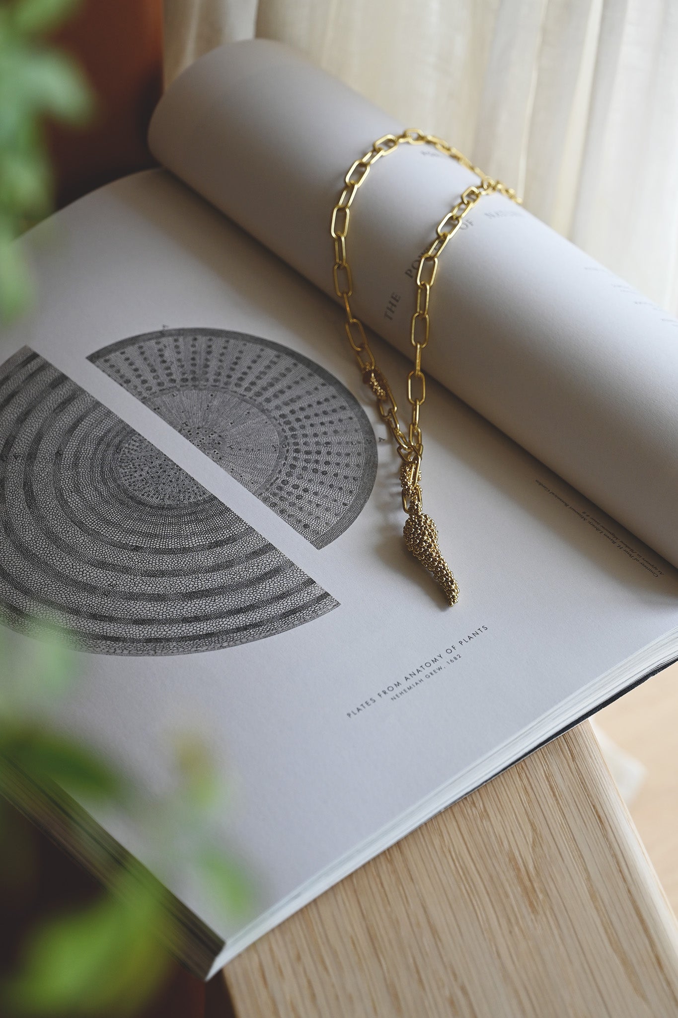 ダニエラデマルキ/Daniela de Marchi<br> O Sole Mio Collection<br>ネックレス（Necklace）［CL5693 ODO］