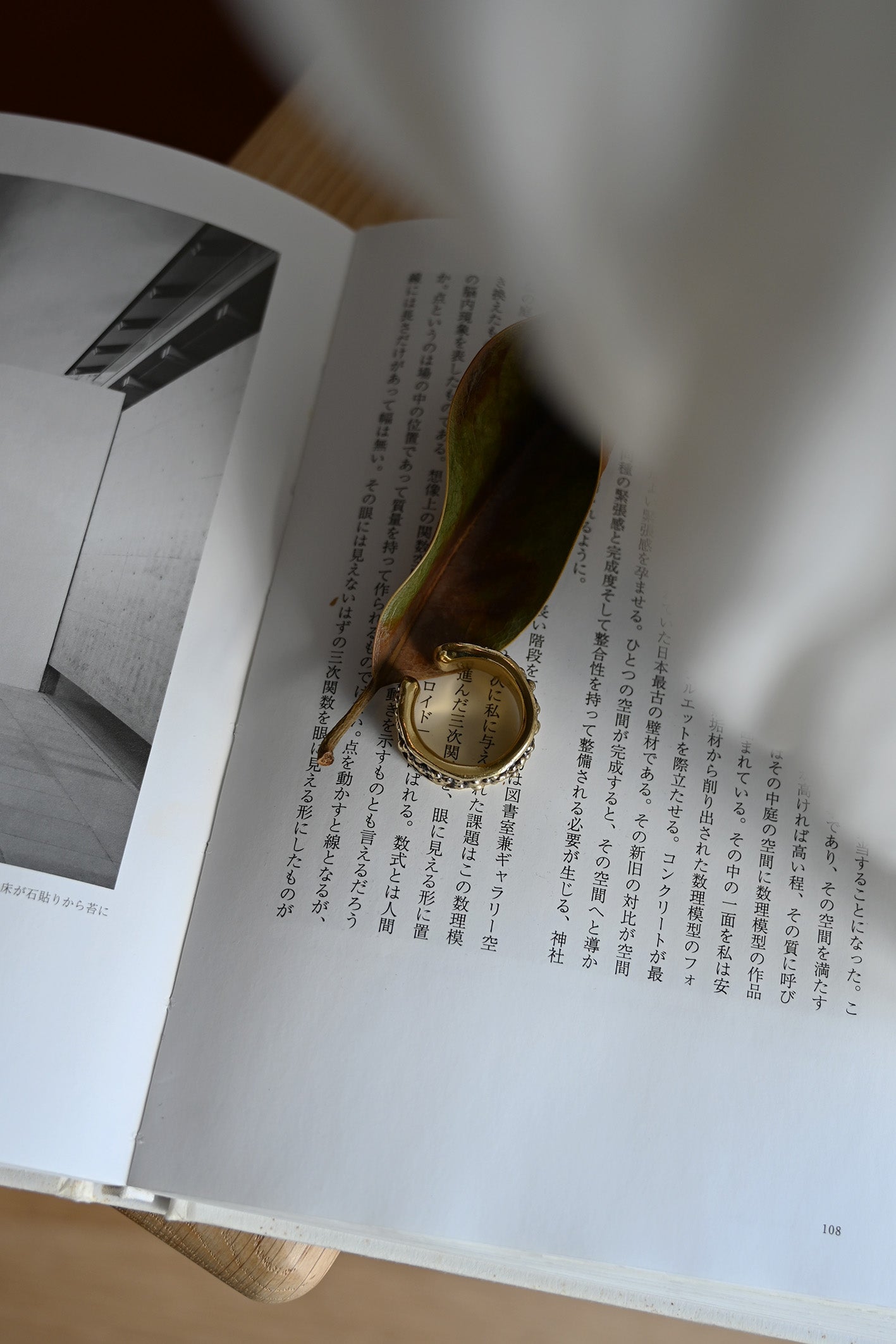 ダニエラデマルキ / Daniela de Marchi <br> Essere Collection <br>リング（Ring)［AN0237 OBR］#19