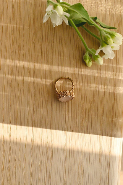 ダニエラデマルキ/Daniela de Marchi<br>Inclusion Collection <br>リング（Ring）［AN0211 BCH ローズクオーツ］＃11