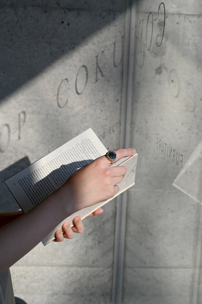 ダニエラデマルキ/Daniela de Marchi<br>Inclusion Collection <br>リング（Ring）［AN0211 OAG ラブラドライト］＃12