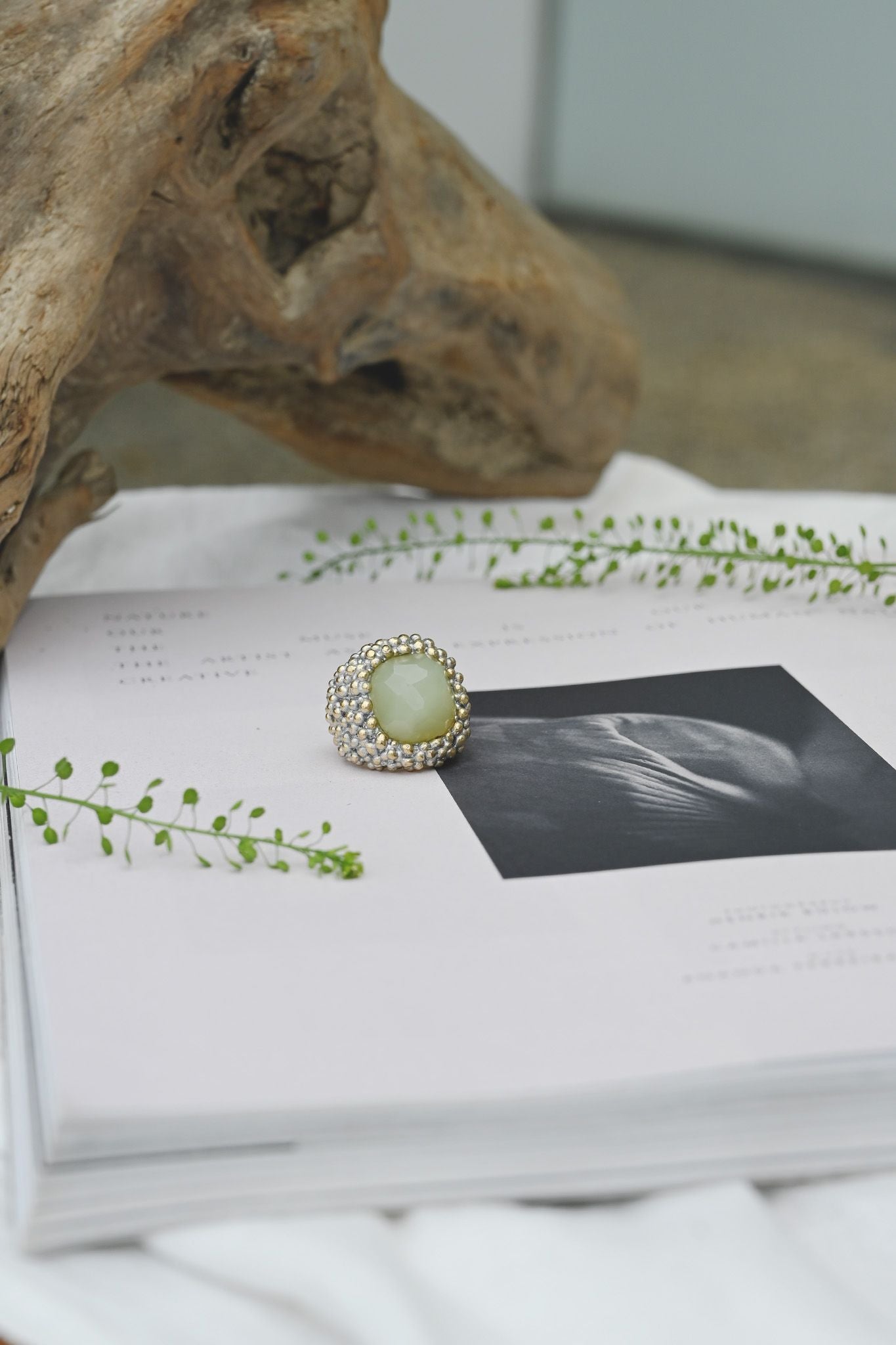 ダニエラデマルキ/Daniela de Marchi<br>Sweet&sour Collection <br>リング（Ring） [AN155 OAG ニュージェイド］